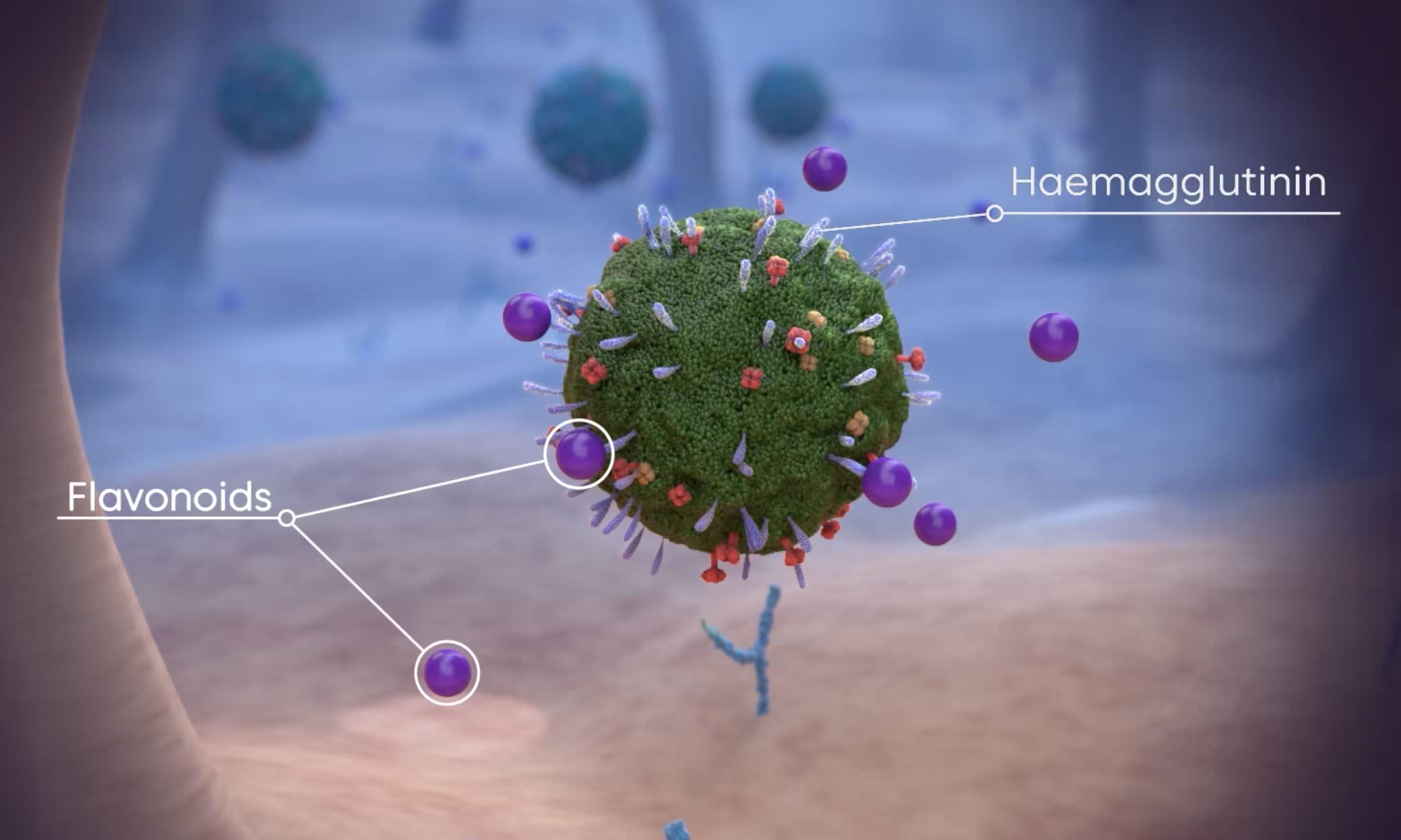 Microscopic view of a virus particle with labeled protein structures on its surface.